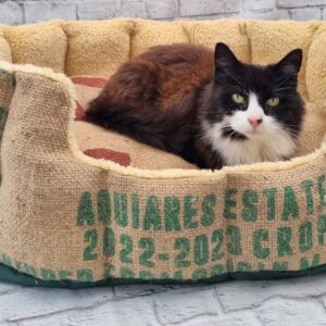 Pet Beds
